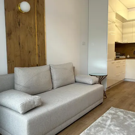 Apartament Stare Miasto Elbląg Zewnętrze zdjęcie